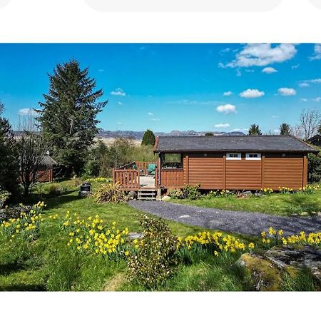 Cosy Cabin In Snowdonia With Views Wi-Fi Dog Friendly & Parking Trawsfynydd 外观 照片